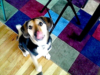 licking lips
